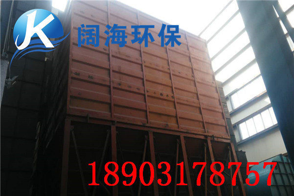 鍋爐除塵系統脈沖袋式除塵器